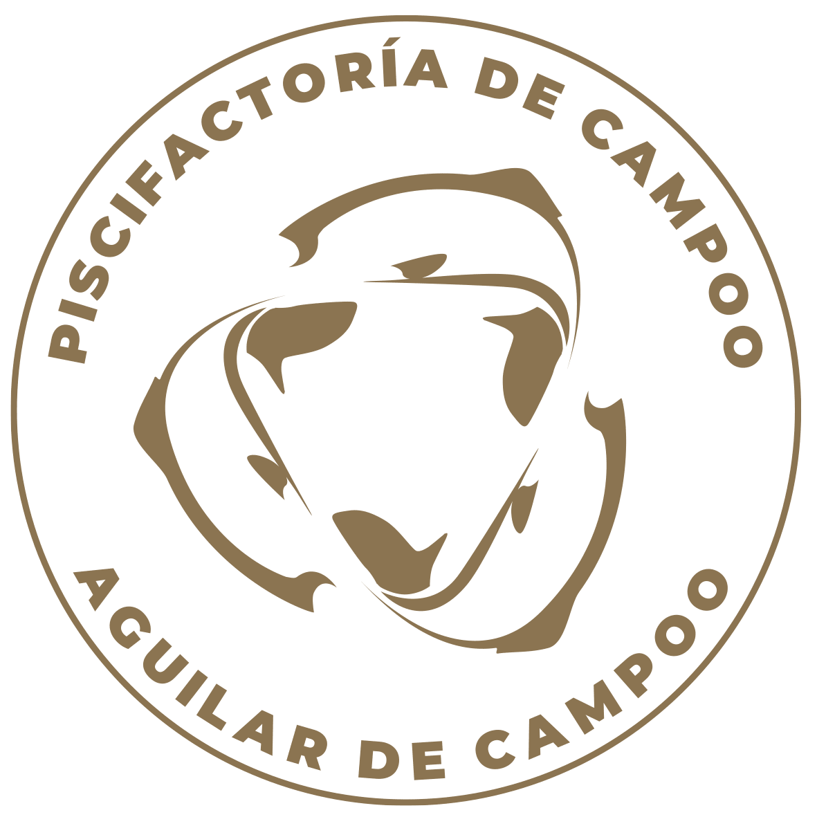 Piscifactoría de Campoo