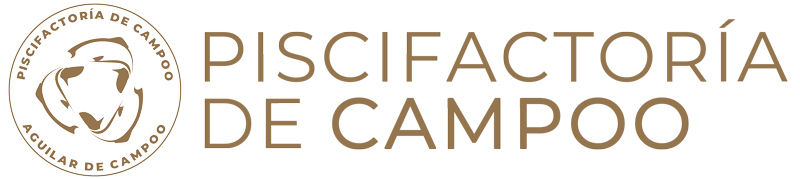 Piscifactoría de campoo