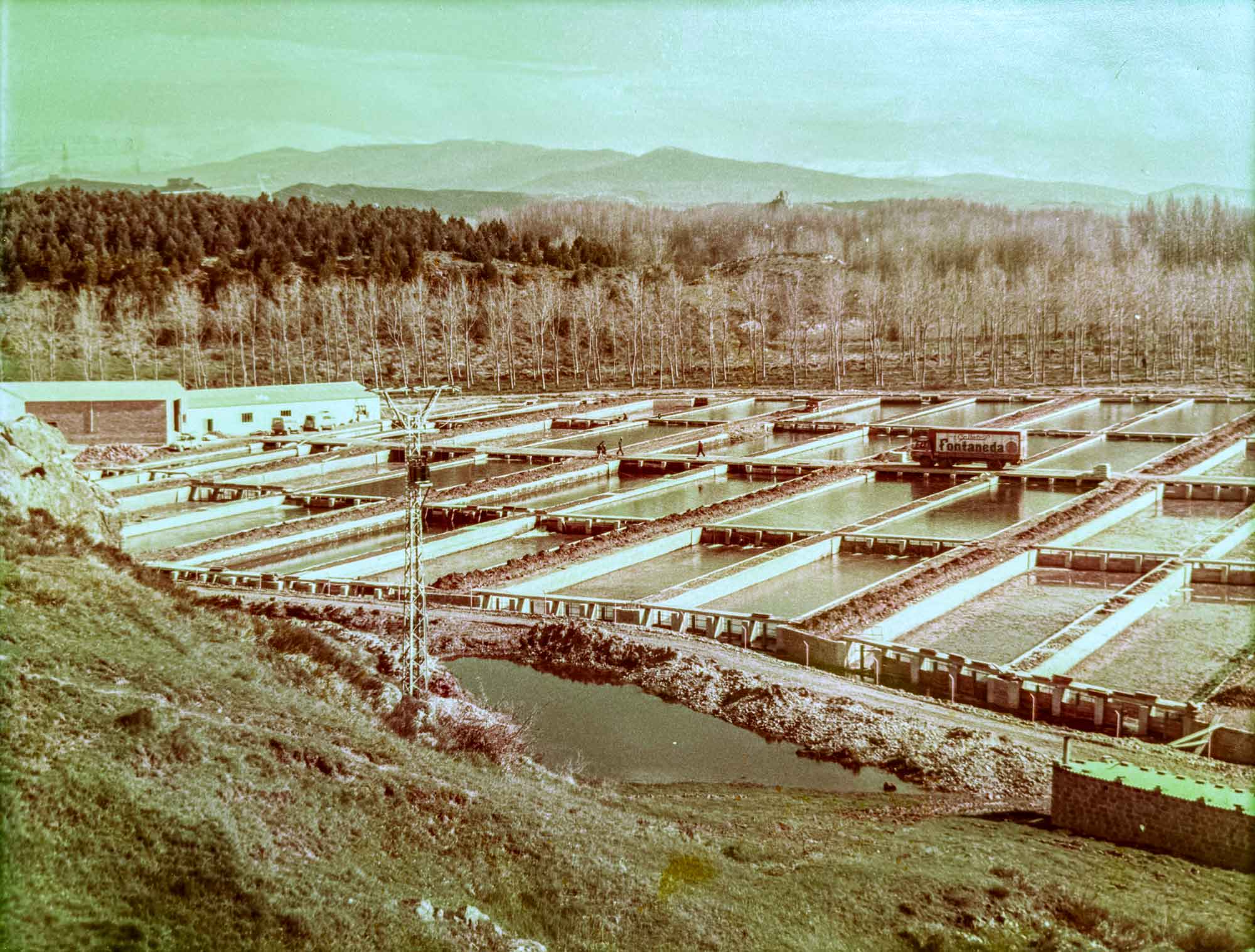 Foto creación de la Piscifactoría de Campoo
